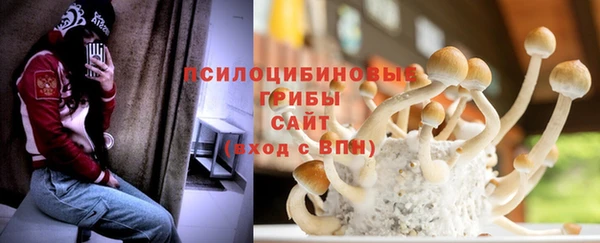 прущая мука Аркадак
