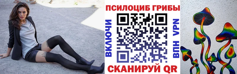 Купить закладки  Всеволожск  Галлюциногенные грибы прущие грибы 